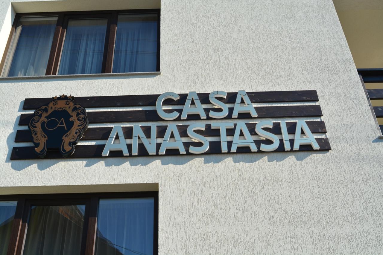 Casa Anastasia Vişeu de Sus Dış mekan fotoğraf